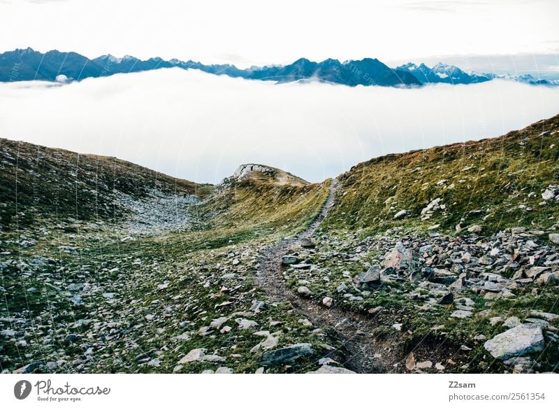 Venet Gipfel Pitztal Morning Dawn Vacation & Travel Adventure Mountain Hiking Nature Landscape Sky Clouds Summer Alps Peak Gigantic Calm Loneliness Relaxation