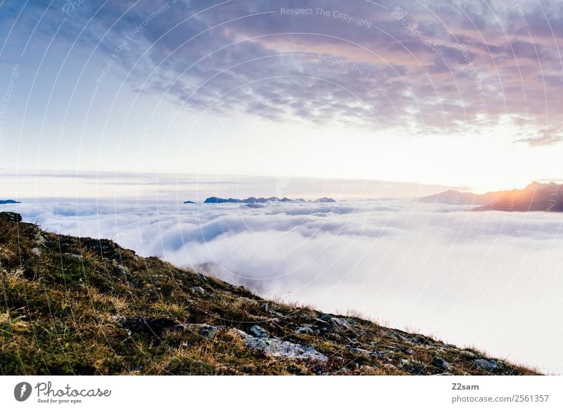 Sunrise / Kreuzjoch Mountain Feasts & Celebrations Environment Nature Landscape Sky Clouds Sunset Summer Beautiful weather Alps Peak Gigantic Infinity