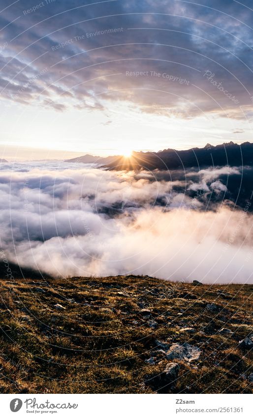 Sunrise | Pitztal | Alps Vacation & Travel Adventure Mountain Feasts & Celebrations Nature Landscape Sky Clouds Sunset Sunlight Summer Peak Dream Gigantic