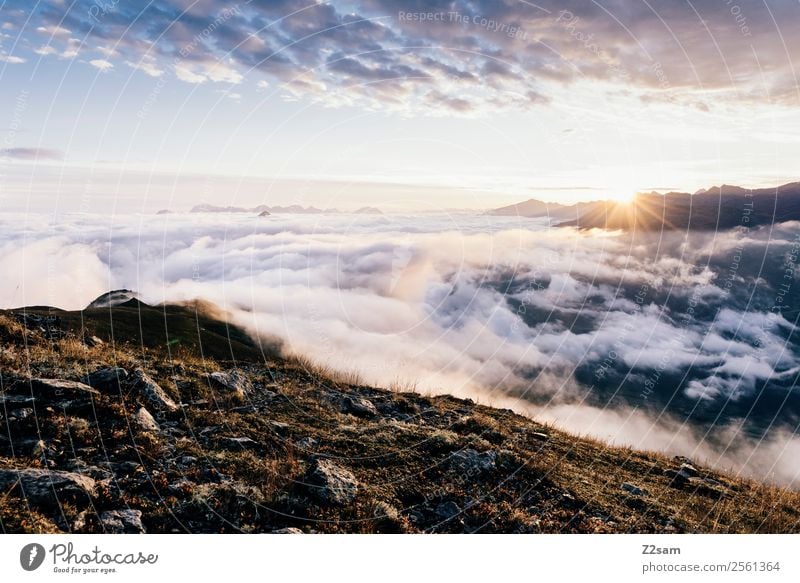 Sunrise | Venet Summit | Inn Valley Nature Landscape Sky Clouds Sunset Summer Beautiful weather Alps Mountain Peak Esthetic Gigantic Infinity Kitsch