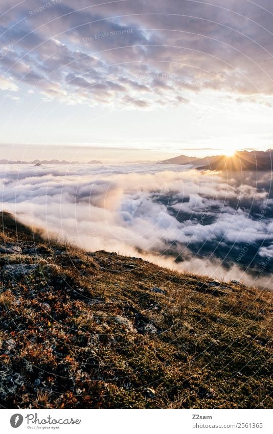 Pitztal, sunrise, Kreuzjoch. Mountain Hiking Nature Landscape Sky Clouds Sunrise Sunset Summer Beautiful weather Alps Peak Fantastic Gigantic Infinity