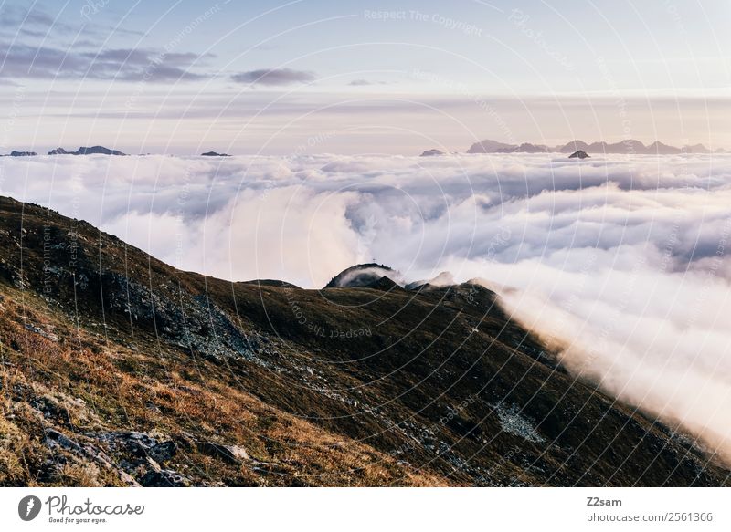 Venet Summit Inn Valley Sunrise Mountain Nature Landscape Sky Clouds Summer Beautiful weather Alps Peak Fantastic Gigantic Infinity Natural Adventure Loneliness