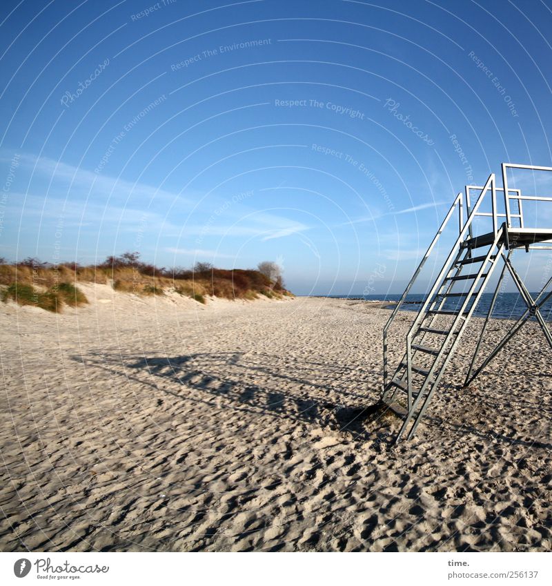 Pick some stars for a moment Beach Sand Sky Clouds Horizon Autumn Beautiful weather Grass Coast Baltic Sea Stairs Metal Footprint Adventure Beginning Loneliness