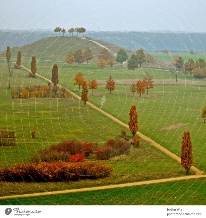 Hanover Environment Nature Landscape Autumn Tree Bushes Park Meadow Hill Hannover kronsberg Lanes & trails Colour photo Exterior shot Deserted