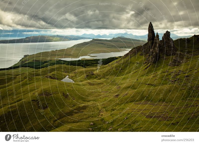 old man of storr Environment Nature Landscape Elements Bad weather Rain Meadow Hill Rock Mountain Coast Ocean Atlantic Ocean Island Isle of Skye Deserted Stone