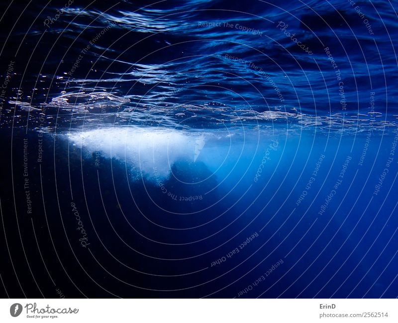 Underwater Surface of Ocean with White Bubbles and Rays of Light Calm Vacation & Travel Dive Nature Wet Blue Serene Peace Perspective Air bubble background