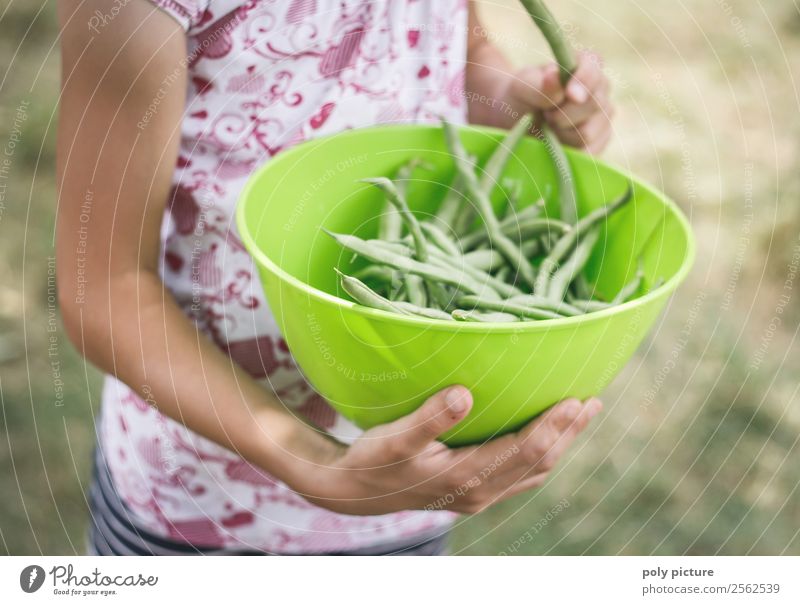 bean harvest Healthy Eating Leisure and hobbies Playing Child Girl Boy (child) Infancy Youth (Young adults) Life Arm Hand 3 - 8 years 8 - 13 years 13 - 18 years