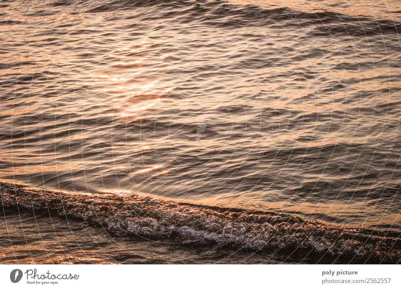 small wave on the beach in the evening sun Wellness Leisure and hobbies Vacation & Travel Tourism Trip Adventure Summer Summer vacation Sun Waves Environment