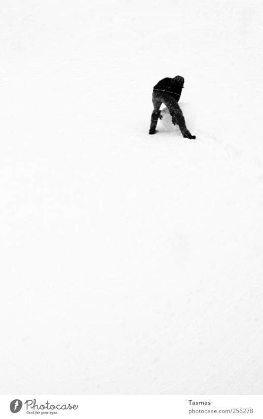 snowball Human being Masculine Man Adults 1 Weather Beautiful weather Snow Snowfall Snow ball Snowman Manmade structures Moody Joy Happy Temporary Build