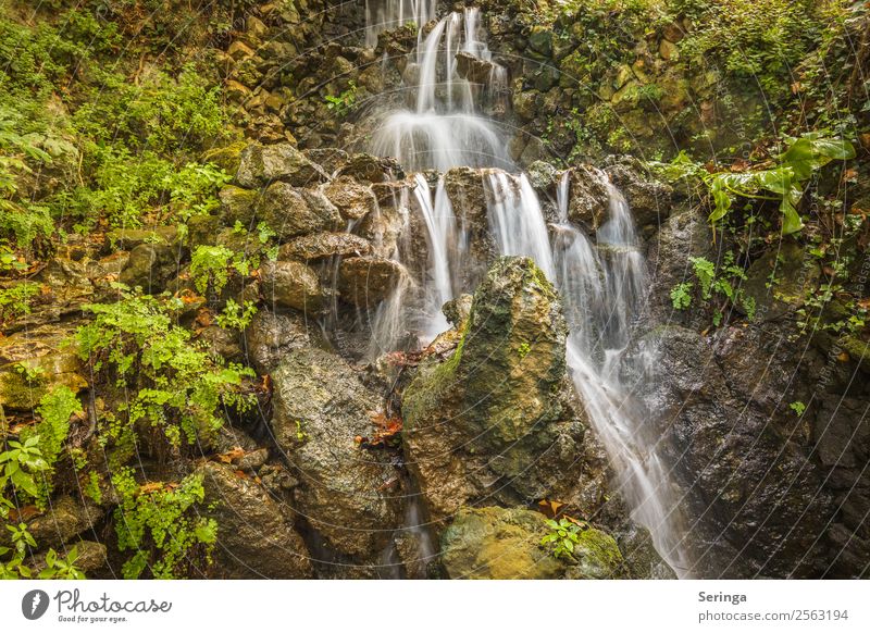 downwards Environment Nature Landscape Plant Animal Elements Water Summer Autumn Hill Rock Mountain Waterfall Multicoloured Yellow Green Orange White Relaxation