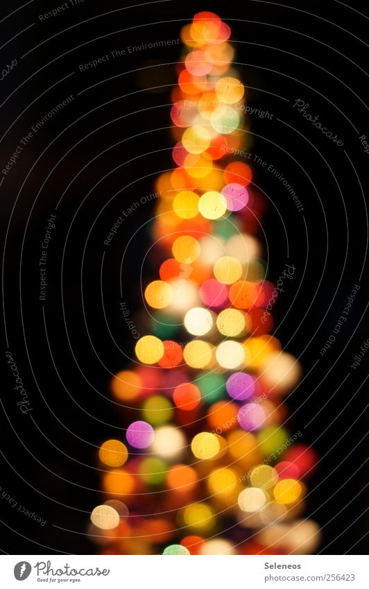 glittering tree Night life Feasts & Celebrations Christmas & Advent Tree Sphere Glittering Happiness Kitsch Round Crazy Trashy Blur Colour photo Deserted