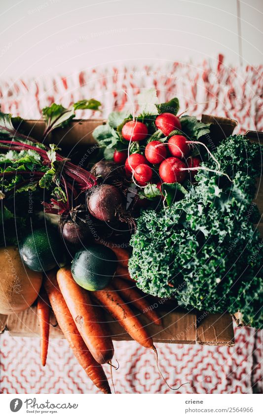 close up of different vegetables on table Vegetable Nutrition Eating Vegetarian diet Diet Table Kitchen Nature Wood Exceptional Fresh Natural Green Red food