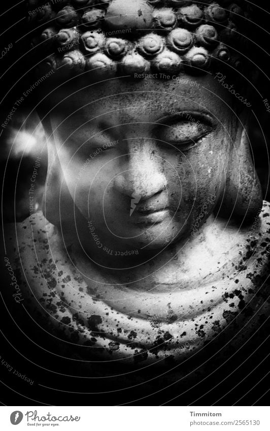 Buddha figure Figure Gray Black White Emotions Contentment Acceptance Serene Calm Black & white photo Statue of Buddha Buddhism Exterior shot Deserted Day Light