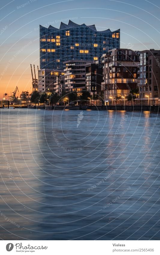 Hamburg Harbour II Harbor city Port City Skyline Manmade structures Elbe Philharmonic Hall Tourist Attraction Landmark Glittering Hip & trendy Blue reflection