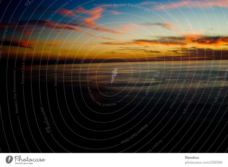 evening Environment Hope Belief Heaven Sky Sunset Ocean Horizon Clouds Twilight Multicoloured Gold Blue Pink Colour photo Exterior shot Long shot Wide angle