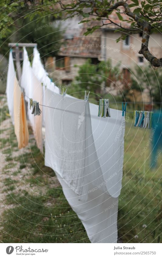 Clothes staple Line Village House (Residential Structure) Window Idyll Living or residing Provence Clothes peg Clothesline Sheet White Tree Meadow Colour photo