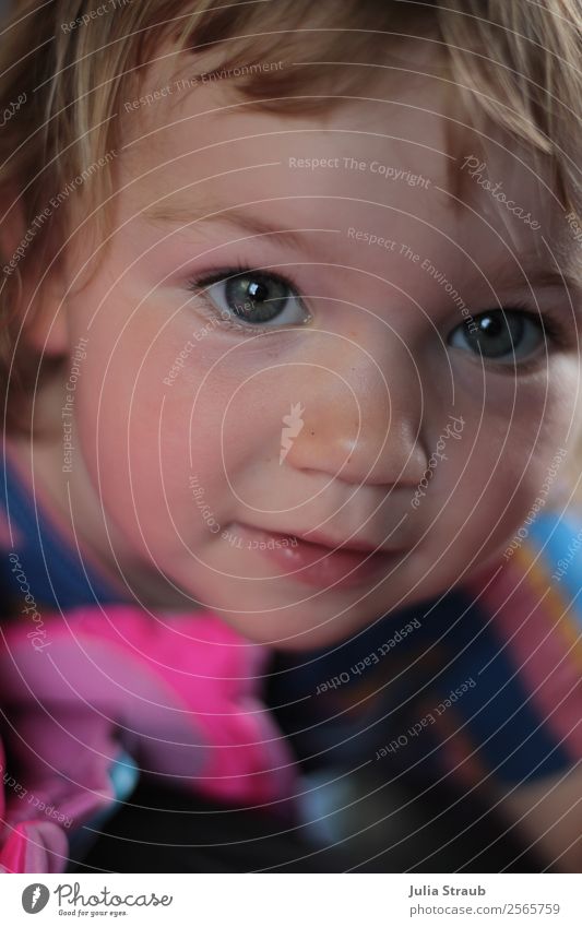 blue eyes girls Feminine Girl Head 1 Human being 1 - 3 years Toddler T-shirt Blonde Short-haired Bangs Observe Beautiful Curiosity Cute Pink Shows Blue Eyes