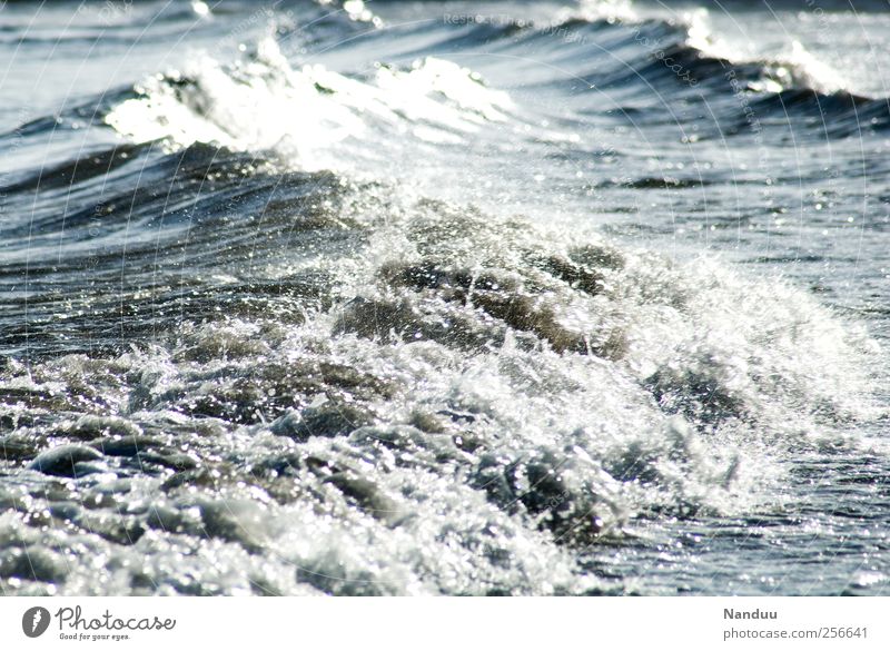 elemental force Environment Nature Infinity Ocean Waves Tide White crest Elements Water Colour photo Subdued colour Exterior shot Detail Day