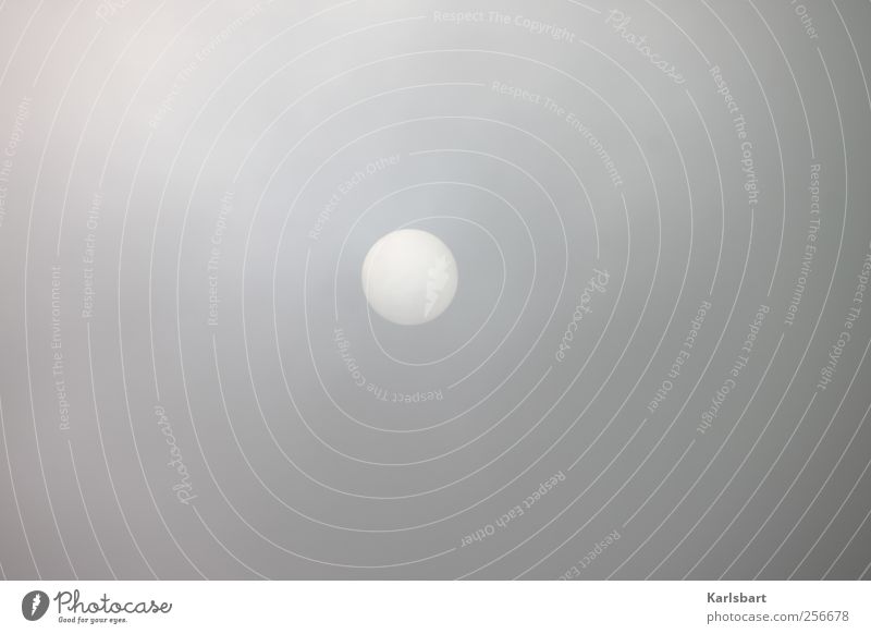 The sun plays moon. Science & Research Environment Sky Clouds Sun Sunlight Moon Autumn Winter Weather Bad weather Storm Wind Gale Fog Threat Gray Movement