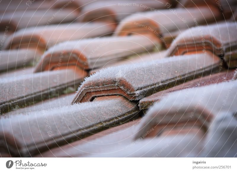 Hooray, 30 House (Residential Structure) Attic Roof roofing tiles Tiled roof Brick red Ice Frost Part of a building Red White Cold Climate Subdued colour