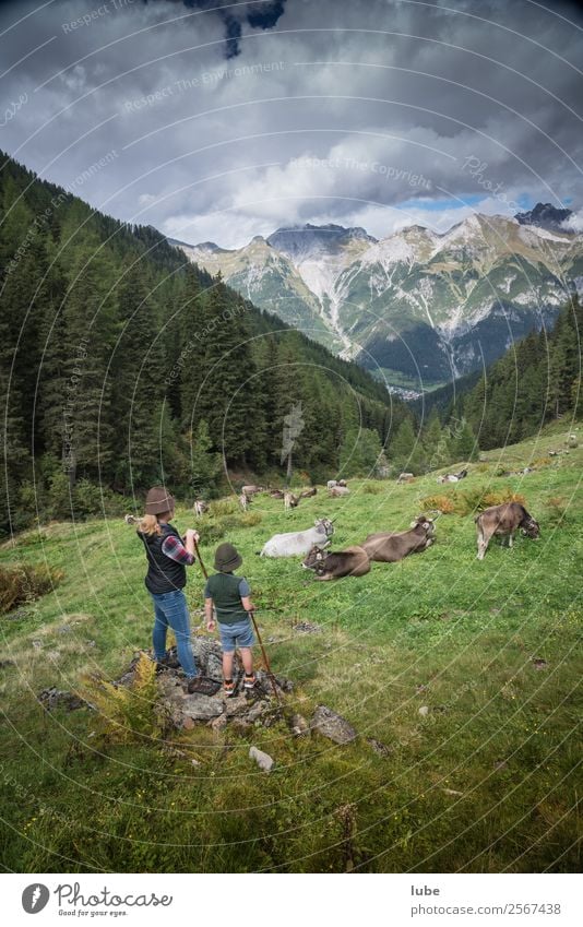 pastoralists Vacation & Travel Agriculture Forestry Environment Nature Landscape Summer Climate Weather Rock Alps Mountain Peak Animal Farm animal Cow