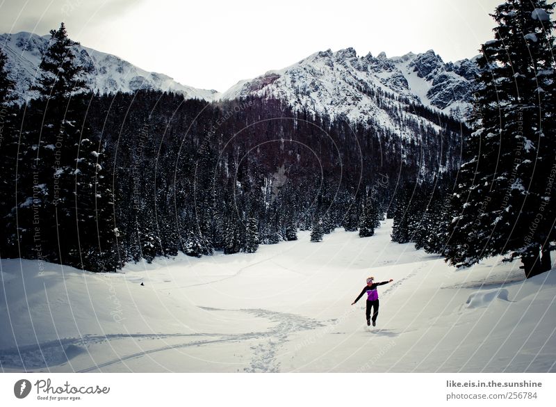 FINALLY SNOW! Thank you woman holle! Life Well-being Relaxation Leisure and hobbies Vacation & Travel Tourism Trip Adventure Winter Snow Winter vacation