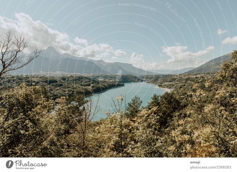 Somewhere along the Route Napoleon. Nature Landscape Summer Autumn Beautiful weather Forest Lake Natural Blue Colour photo Exterior shot Deserted Day Wide angle