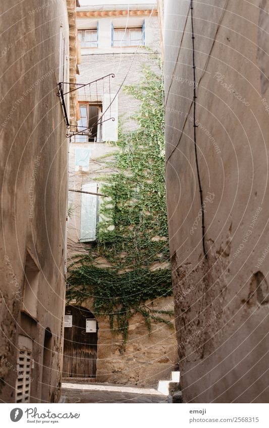 Côte d'Azur Ivy Small Town House (Residential Structure) Wall (barrier) Wall (building) Facade Alley Old Poverty Cote d'Azur Colour photo Exterior shot Deserted