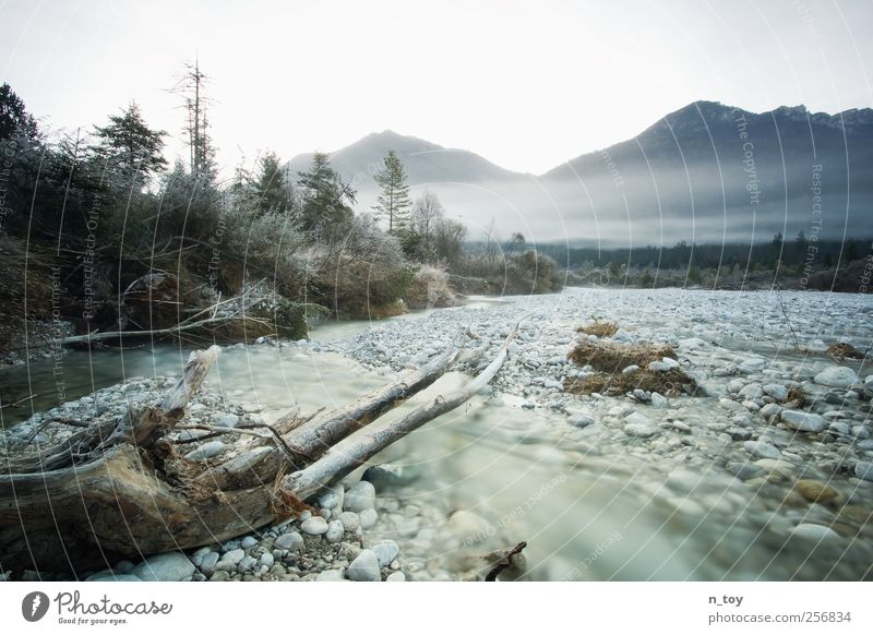 running water Trip Adventure Mountain Hiking Environment Nature Landscape Water Autumn Fog Forest Hill Rock Alps Brook River Isar Faded Wait Moody Patient Calm