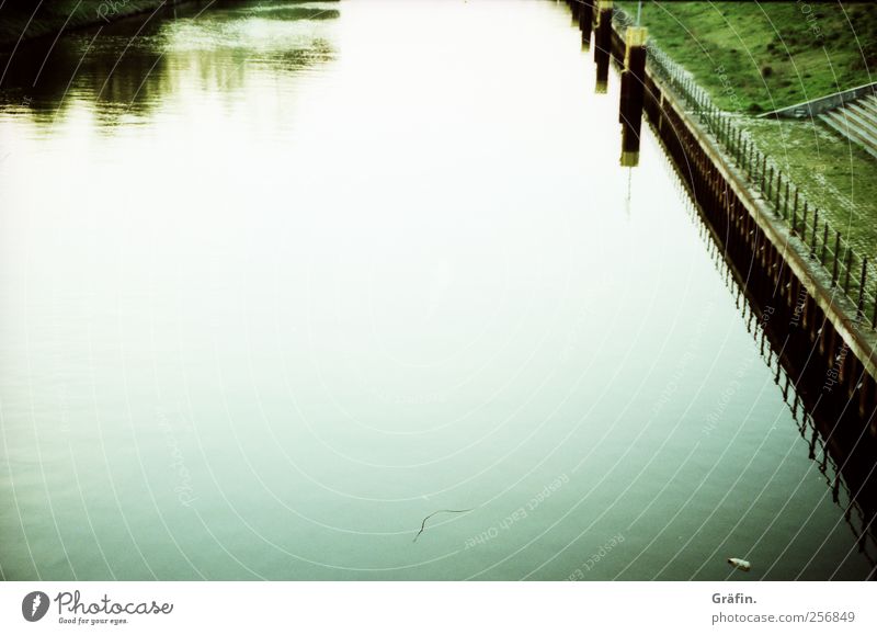 At the canal Water Autumn Meadow River bank Deserted Channel Green White Romance Calm Loneliness Reflection Colour photo Exterior shot Copy Space top