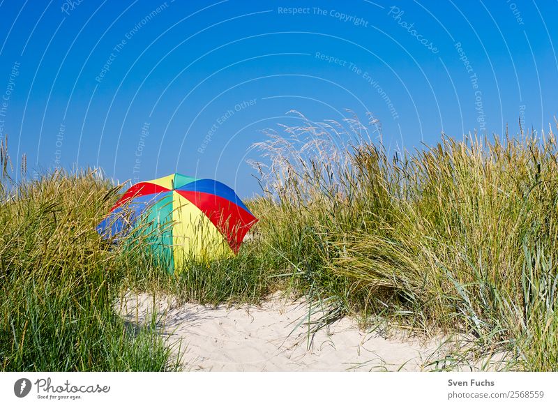 Colourful parasol in a dune Relaxation Calm Vacation & Travel Tourism Summer Sun Beach Ocean Island Nature Landscape Sand Cloudless sky Beautiful weather Blue