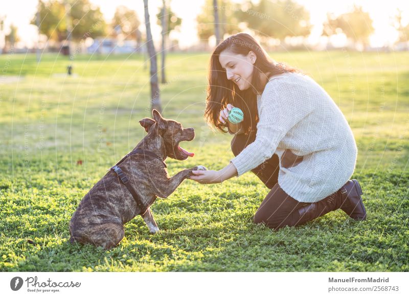 cheerful woman and dog shaking hand and paw Lifestyle Happy Beautiful Playing Woman Adults Friendship Hand Nature Animal Grass Park Pet Dog Paw Smiling Cute