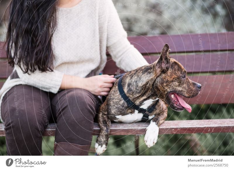 lose-up view of an anonymous woman with her dog Lifestyle Beautiful Woman Adults Friendship Animal Park Pet Dog To enjoy Sit Friendliness Happiness Healthy