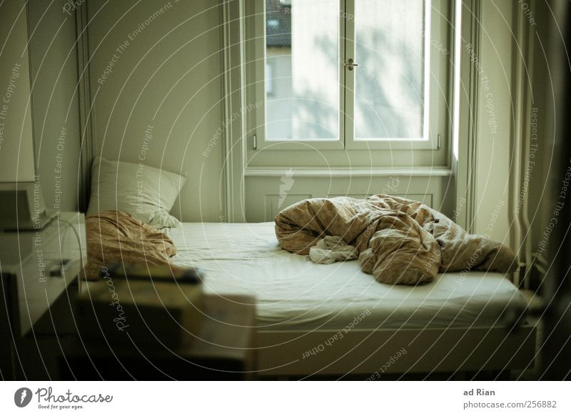 bedroom view Design Leisure and hobbies Furniture Bed Room Bedroom Duvet Blanket Window Period apartment Old Colour photo Interior shot Deserted Long shot