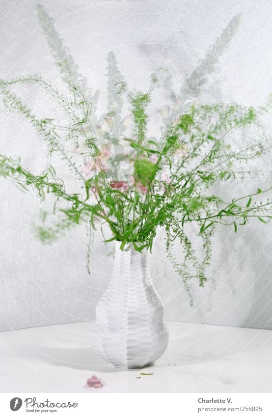 bouquet Plant Bouquet Vase Flower vase China vase Movement Blossoming Stand Dance Faded Esthetic Elegant Fresh Green Pink White Life Bizarre Double exposure