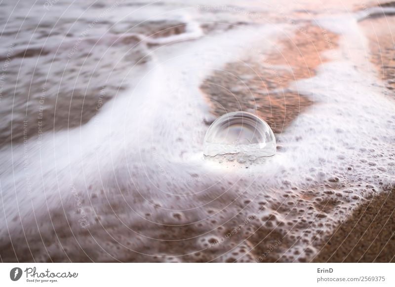 Foamy Ocean Water on Sand Surrounds Clear Glass Ball Beach Environment Earth Coast Sphere Fresh Wet Natural White ball glass circle Surf swamped wave water wash