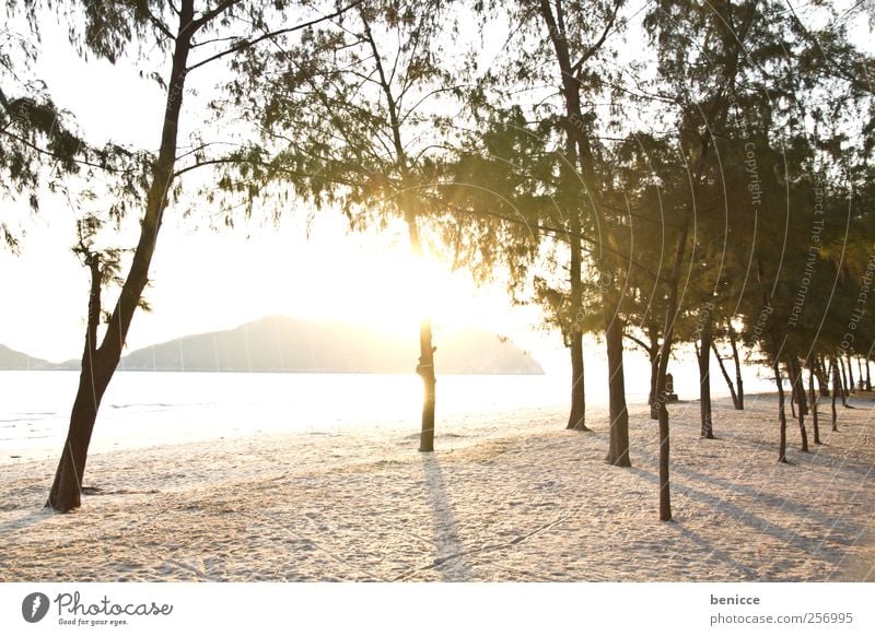 sunrise in thailand Thailand Sand Sandy beach Beach Sun Back-light Nature Tree Sunbeam Deserted Island Paradise Vacation & Travel Loneliness Palm tree