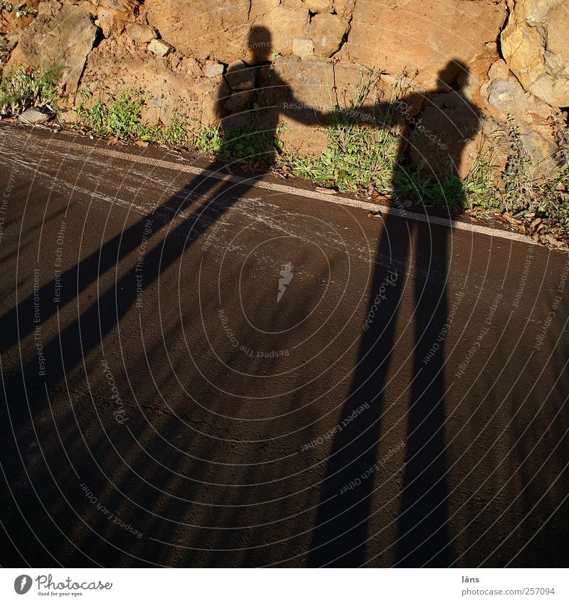 m Human being 2 Street Stone To hold on Together Brown Contentment Friendship Trust Attachment Asphalt Evening Light Shadow Contrast Silhouette Sunlight