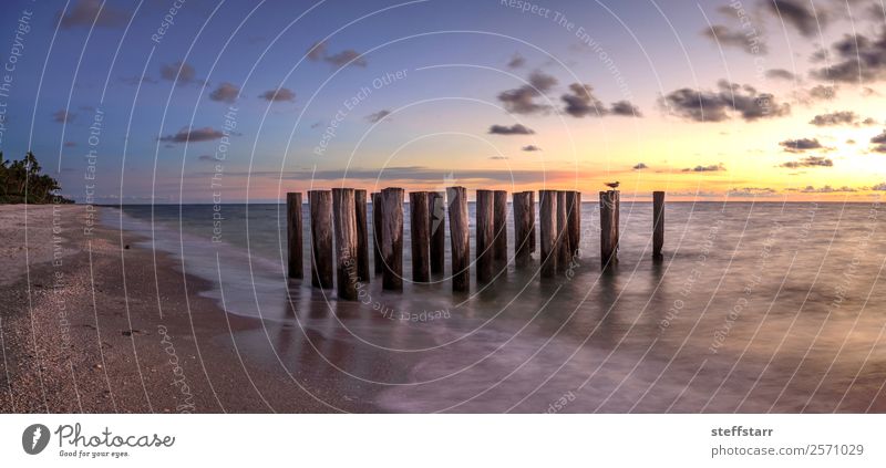 Dilapidated ruins of a pier on Port Royal Beach at sunset Ocean Nature Landscape Sky Coast Ruin Blue Yellow Sunset Port Royal beach Dusk dilapidated calm