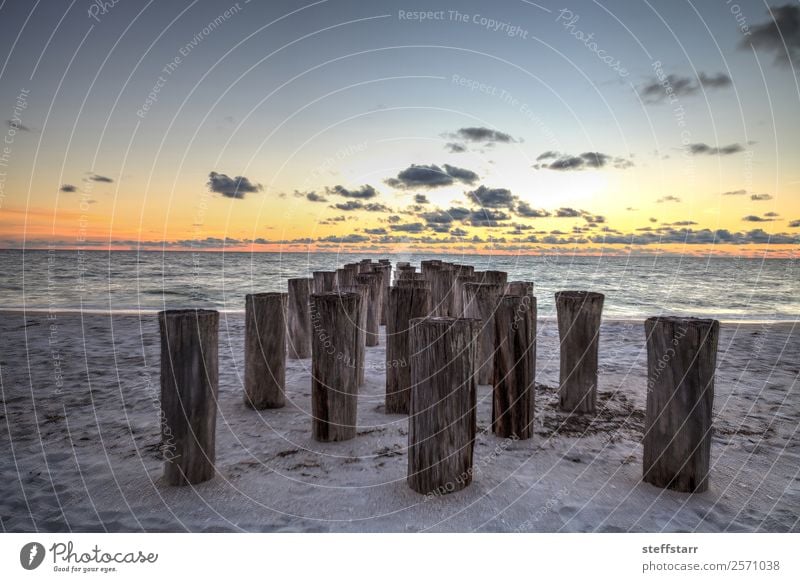 Dilapidated ruins of a pier on Port Royal Beach at sunset Ocean Waves Landscape Clouds Coast Ruin Blue Yellow Sunset Port Royal beach Dusk dilapidated calm