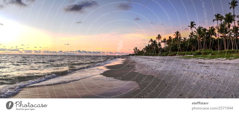 Dilapidated ruins of a pier on Port Royal Beach at sunset Ocean Waves Landscape Clouds Coast Ruin Vacation & Travel Sunset Port Royal beach Dusk dilapidated