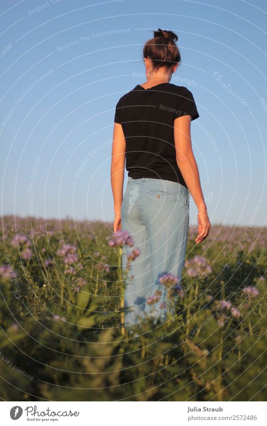 woman flower field sky Feminine Woman Adults 1 Human being 30 - 45 years Sky Cloudless sky Sunlight Summer Beautiful weather Flower Grass Meadow Field T-shirt