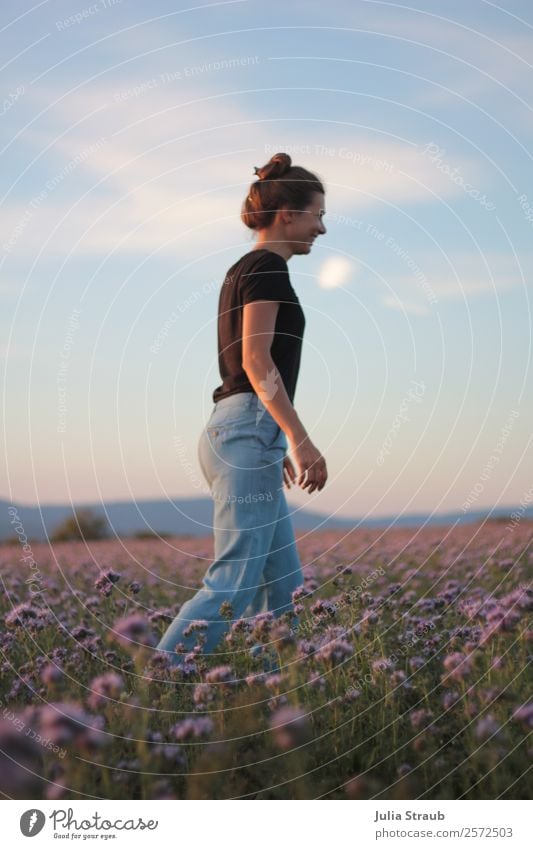 flower meadow woman beautiful sky Sky Clouds Sunrise Sunset Summer Beautiful weather Plant Flower Grass Meadow Field T-shirt Jeans Brunette Long-haired Braids