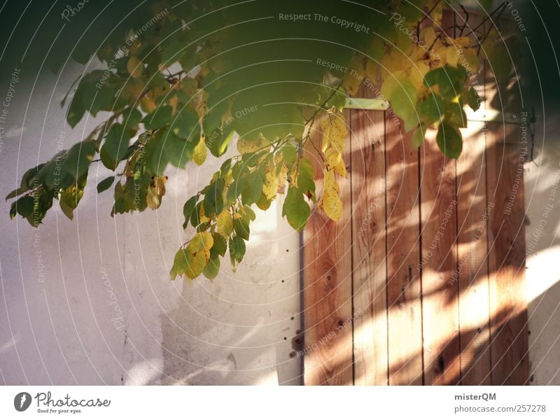 Scale door. Garden Door Gardenhouse Barn Feral Wooden door Mysterious Garden door Hide Autumn Green Autumnal colours Visual spectacle Colour photo