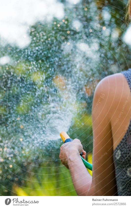 a woman watering a garden Human being Feminine Woman Adults 1 Environment Nature Water Drops of water Garden Park Work and employment Wet Diligent "garden Cast