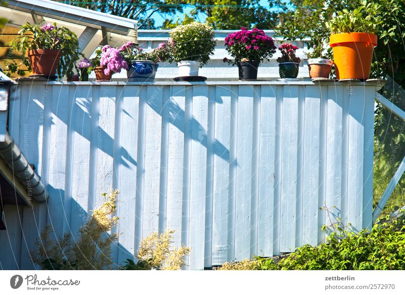 flowerpots Flowerpot Pot plant Vase Blossom Blossoming Summer Sun Flower vase Difference Selection Versatile Balcony Terrace Handrail Window box White