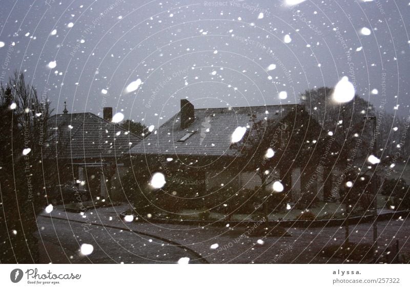 time to go home! House (Residential Structure) Sky Winter Snow Snowfall Dark Gray Black White Subdued colour Exterior shot Deserted