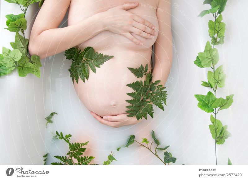 pregnancy shooting milk bath shooting Pregnant Ivy Leaf Green Woman Feminine Baby bump baby bump shooting Stomach Swimming & Bathing Bathtub Photo shoot Naked