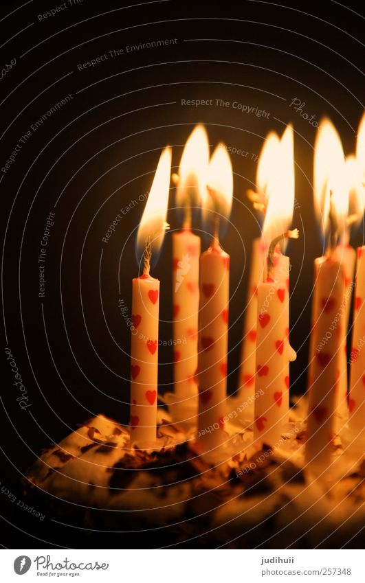 birthday cake Cake Gateau Dessert Feasts & Celebrations Birthday Candle Candlelight Illuminate Bright Red Black White Heart Beautiful Colour photo Detail