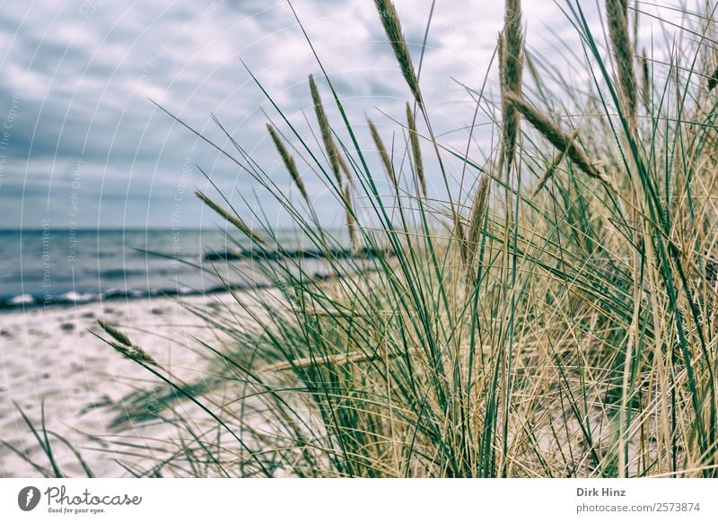 Beach near Marstal / Denmark Vacation & Travel Tourism Trip Far-off places Summer Summer vacation Ocean Island Waves Environment Landscape Clouds Horizon